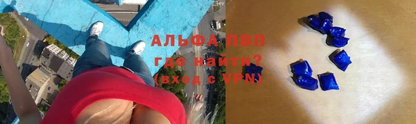 винт Алзамай