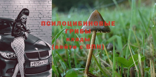 эйфоретик Алексин