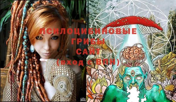 эйфоретик Алексин