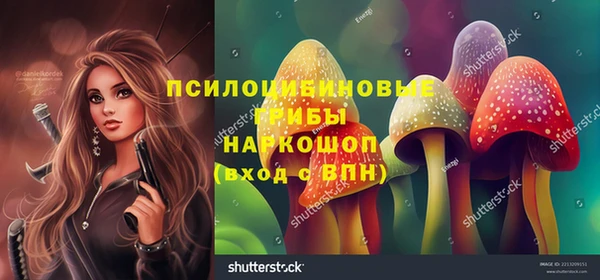 винт Алзамай